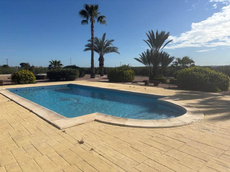 Villa for Sale in Albatera, Alicante 44