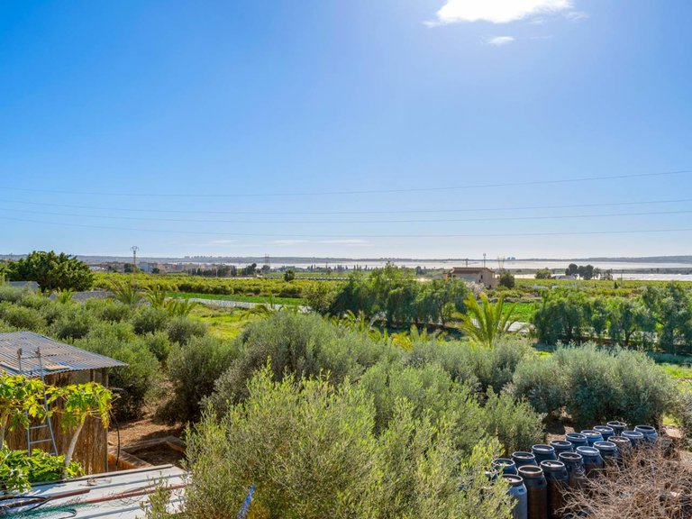 Country House for Sale in Los Montesinos, Alicante 24