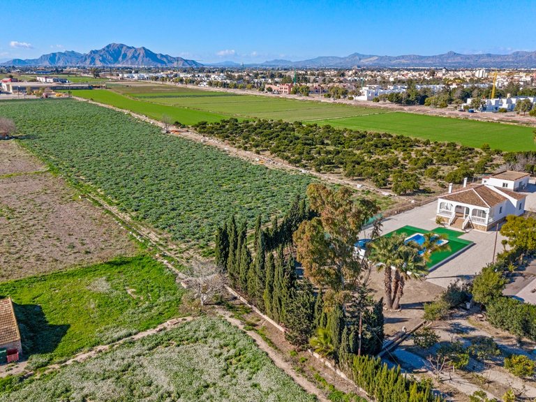 Country House for Sale in Dolores, Alicante 6