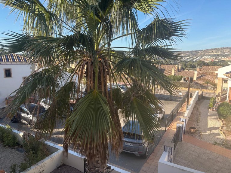 Town House for Sale in Algorfa, Alicante 28