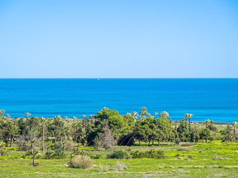 Apartment for Sale in Punta Prima, Alicante 20