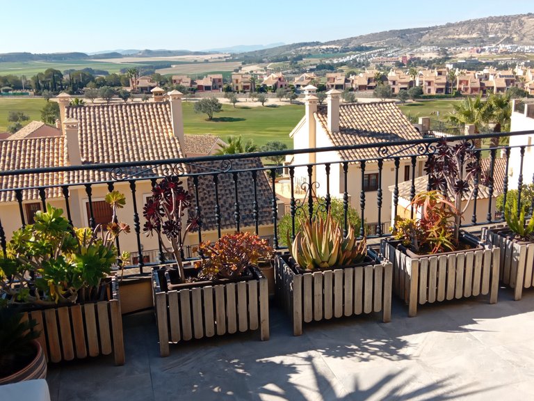 Town House for Sale in Algorfa, Alicante 1