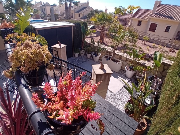 Town House for Sale in Algorfa, Alicante 14