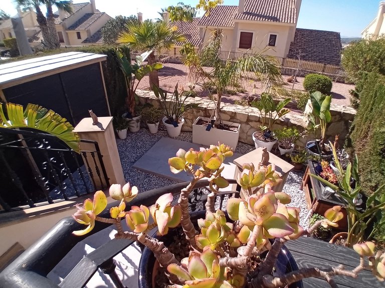 Town House for Sale in Algorfa, Alicante 15