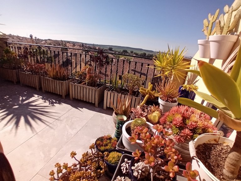 Town House for Sale in Algorfa, Alicante 27