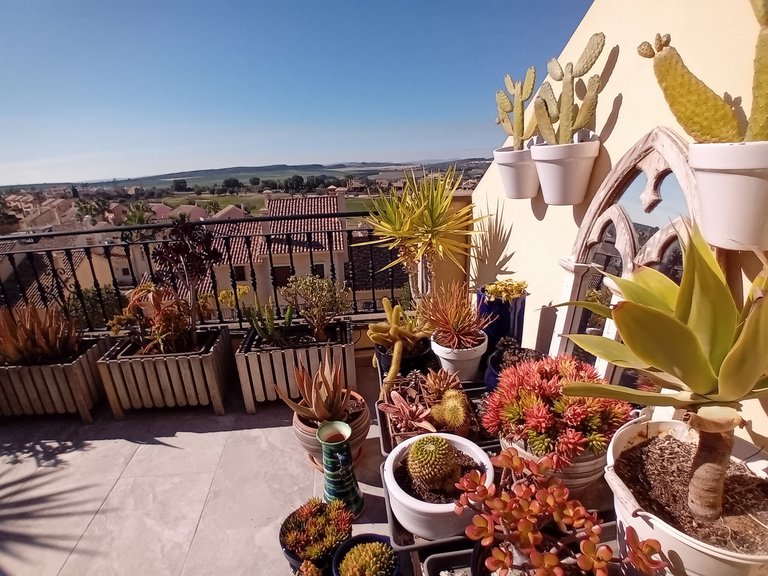 Town House for Sale in Algorfa, Alicante 28