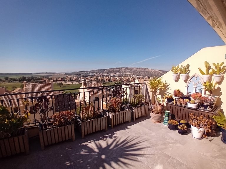 Town House for Sale in Algorfa, Alicante 30