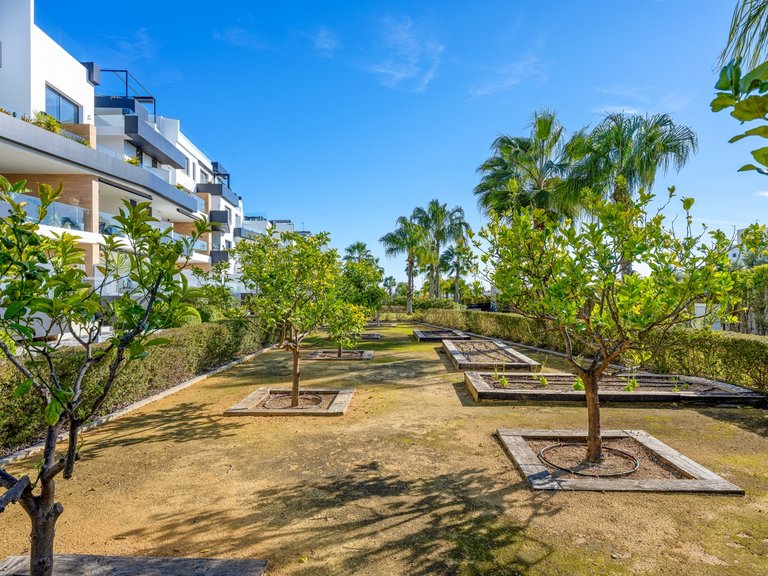 Apartment for Sale in Villamartin, Alicante 42