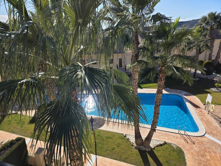 Apartment for Sale in Algorfa, Alicante 28