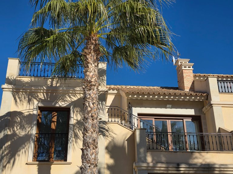 Apartment for Sale in Algorfa, Alicante 32