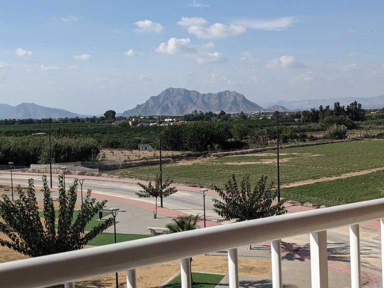 Apartment for Sale in Algorfa, Alicante 20