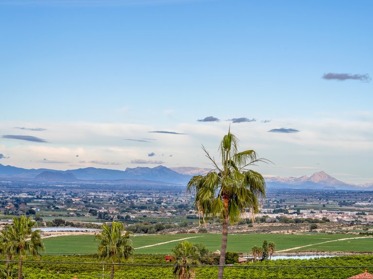 Villa for Sale in Algorfa, Alicante 2