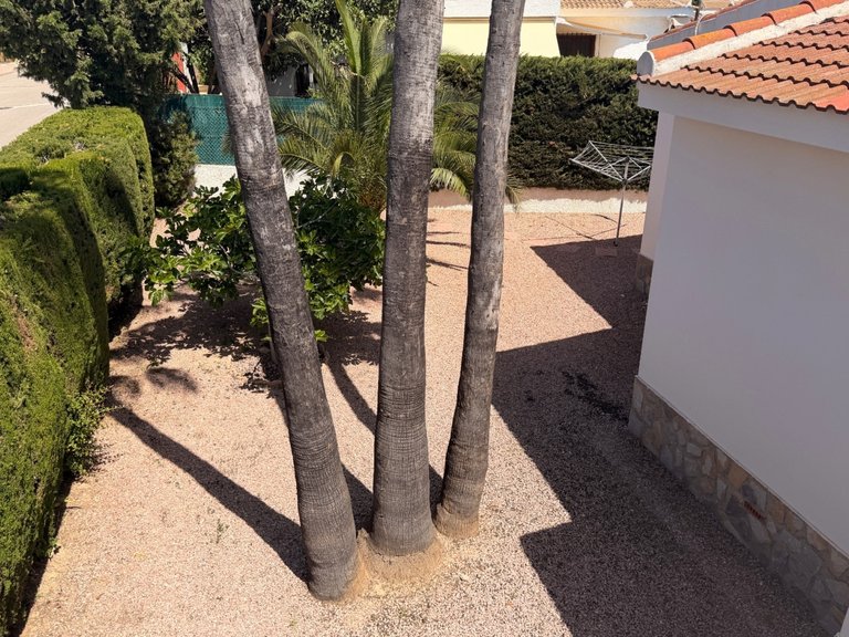 Villa for Sale in Ciudad Quesada, Alicante 17