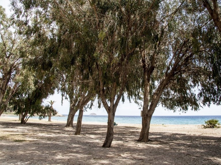 Apartment for Sale in Villajoyosa, Alicante 12