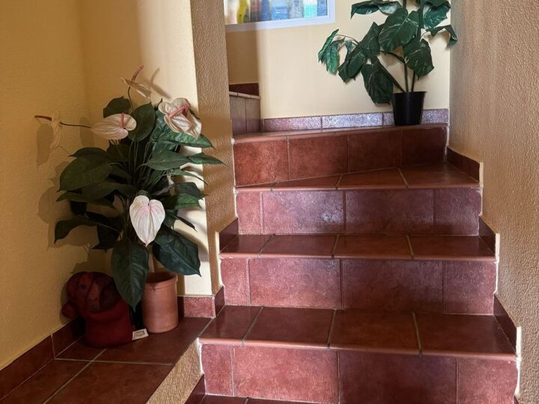 Villa for Sale in Playa Flamenca, Alicante 15