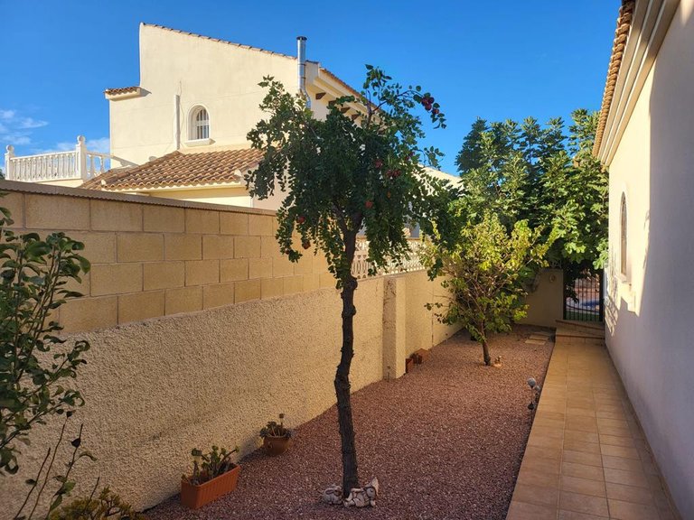 Villa for Sale in Playa Flamenca, Alicante 27
