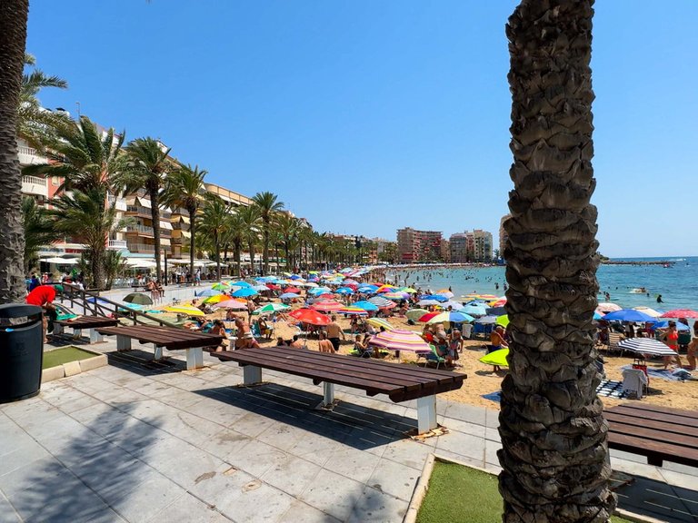 Apartment for Sale in Torrevieja, Alicante 39