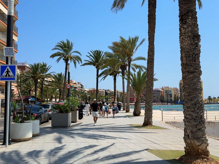 Apartment for Sale in Torrevieja, Alicante 41