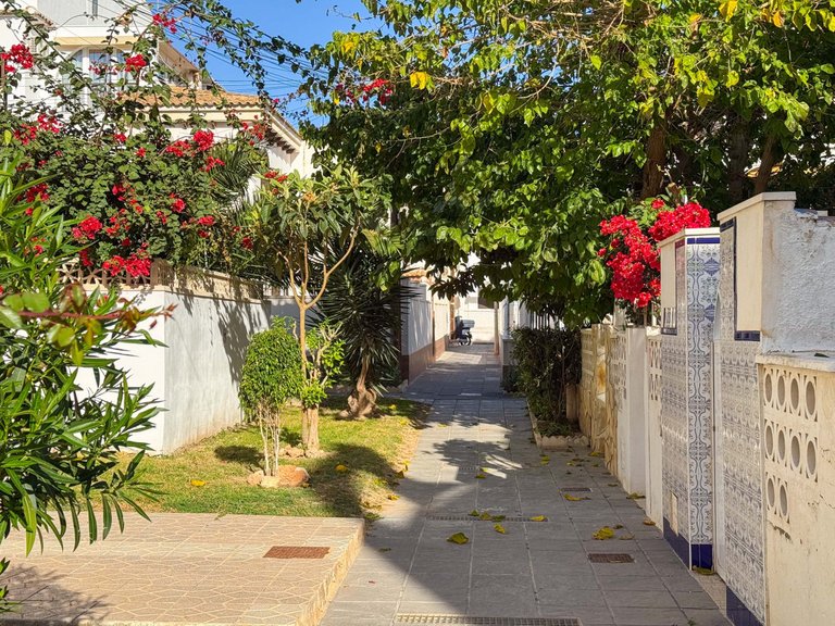 Apartment for Sale in Torrevieja, Alicante 22