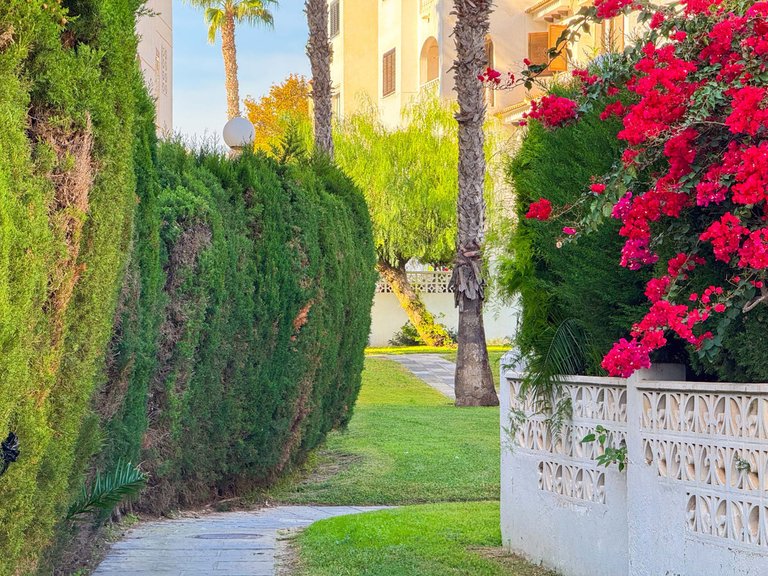 Apartment for Sale in Torrevieja, Alicante 28