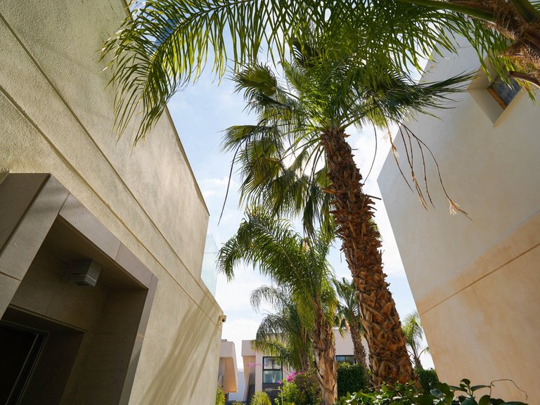 Villa for Sale in Ciudad Quesada, Alicante 36