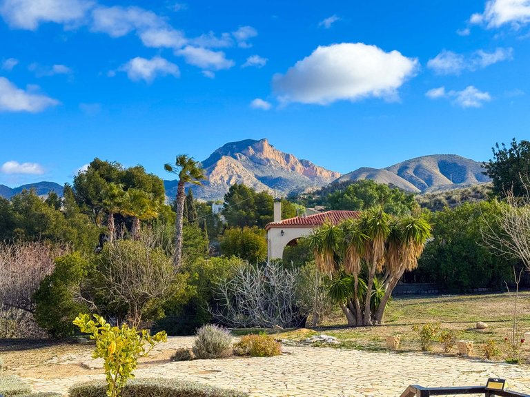 Villa for Sale in Elda, Alicante 4