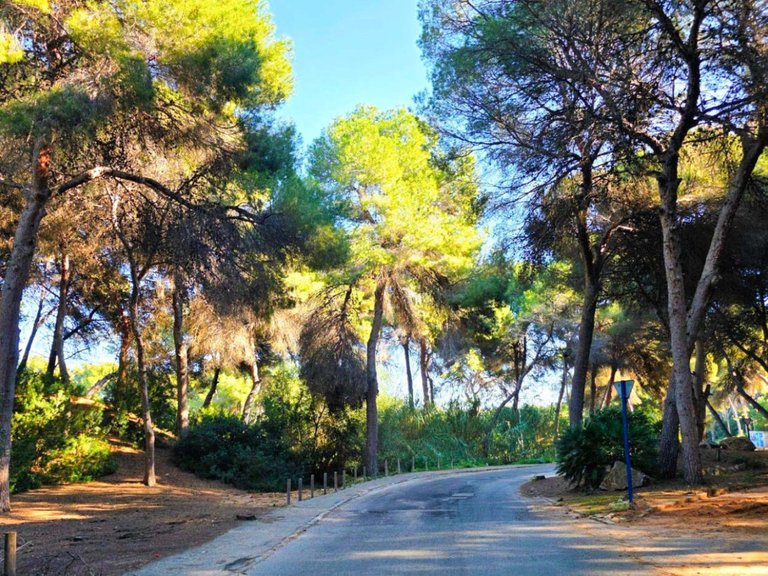 Villa for Sale in Campoamor, Alicante 4