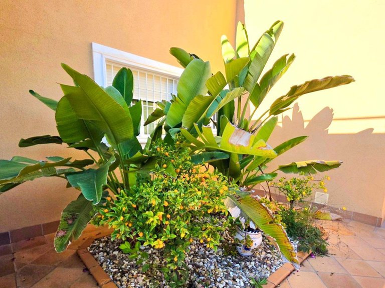 Villa for Sale in Campoamor, Alicante 37