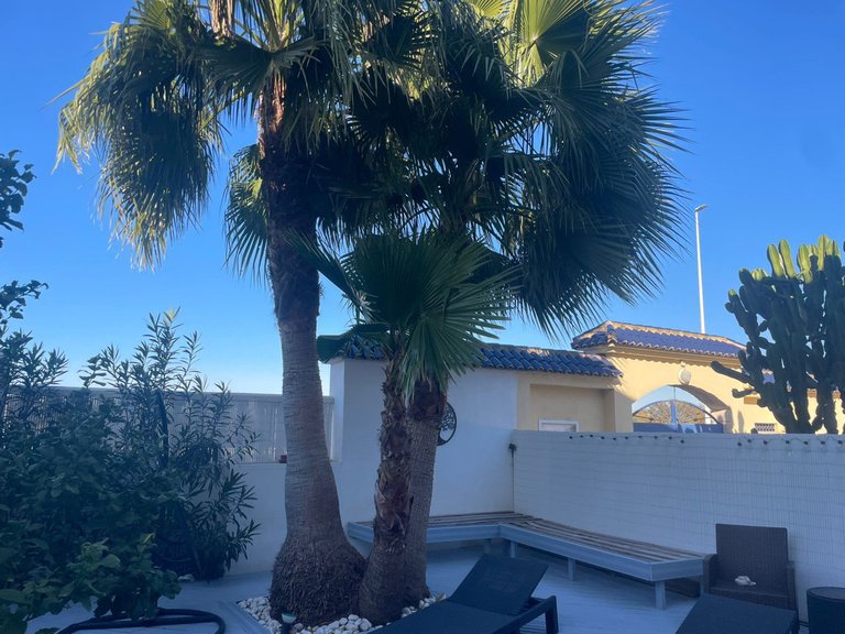 Apartment for Sale in Torrevieja, Alicante 16