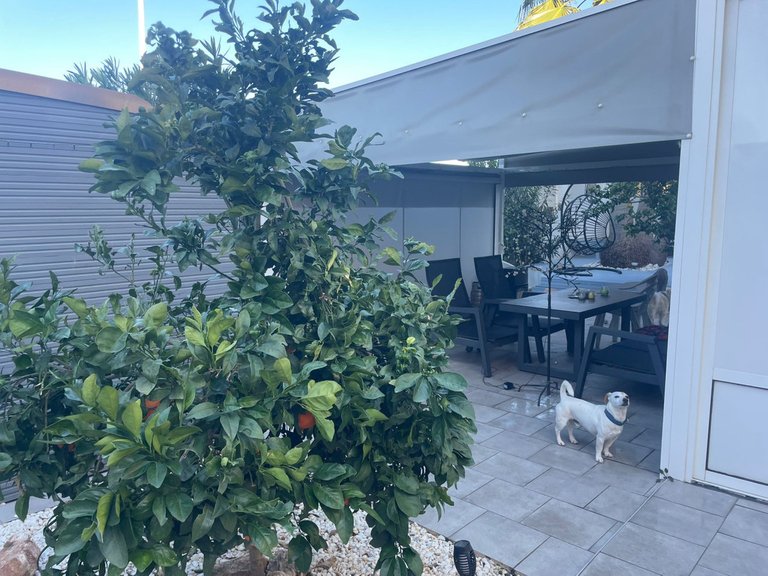 Apartment for Sale in Torrevieja, Alicante 25