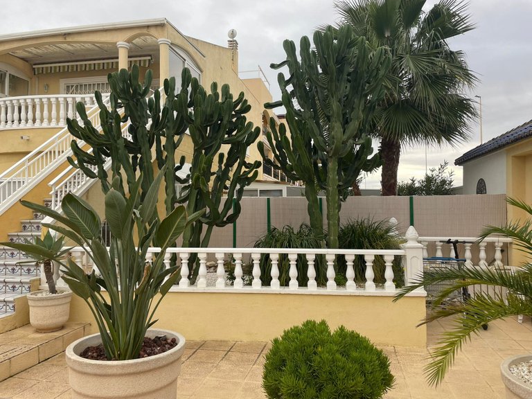 Apartment for Sale in Torrevieja, Alicante 29