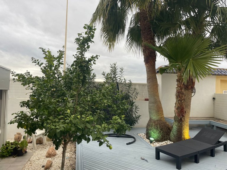 Apartment for Sale in Torrevieja, Alicante 30