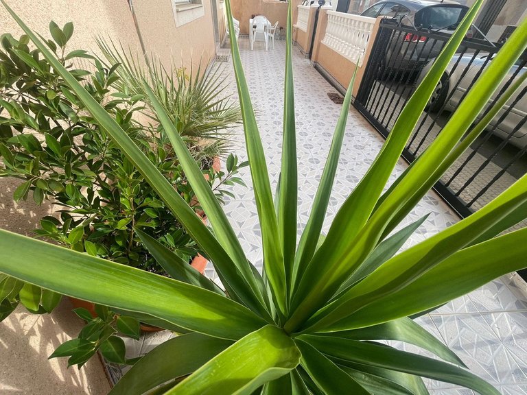 Town House for Sale in San Pedro Del Pinatar, Murcia 11