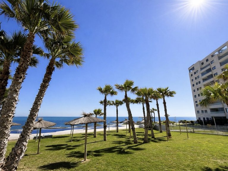 Apartment for Sale in Punta Prima, Alicante 20