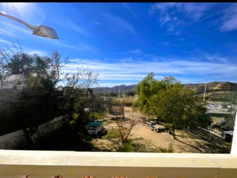 Villa for Sale in Elche, Alicante 30