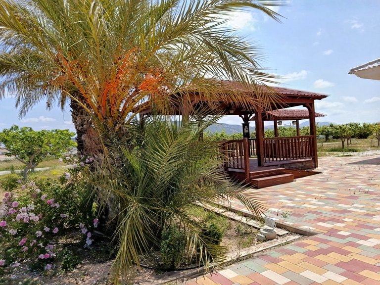Villa for Sale in Pinoso, Alicante 13