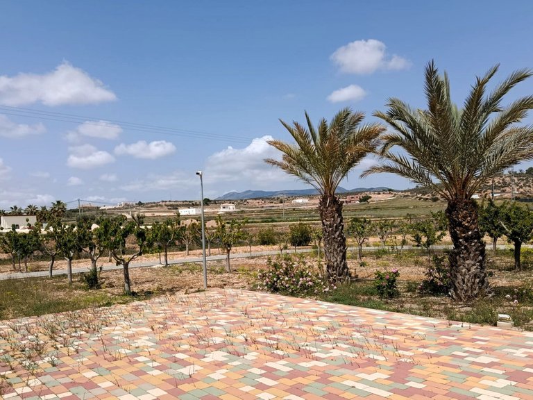 Villa for Sale in Pinoso, Alicante 16