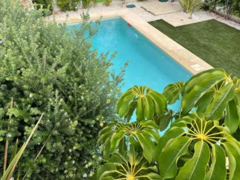Villa for Sale in Algorfa, Alicante 10