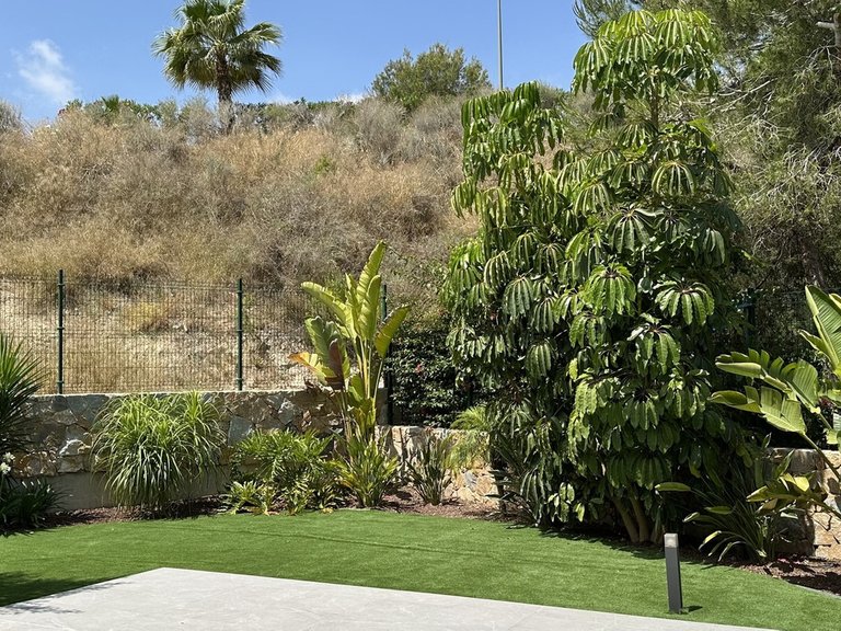 Villa for Sale in Las Colinas, Alicante 42