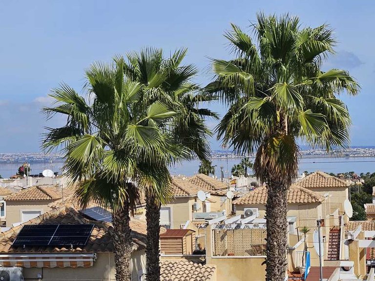 Apartment for Sale in Los Altos, Alicante 15