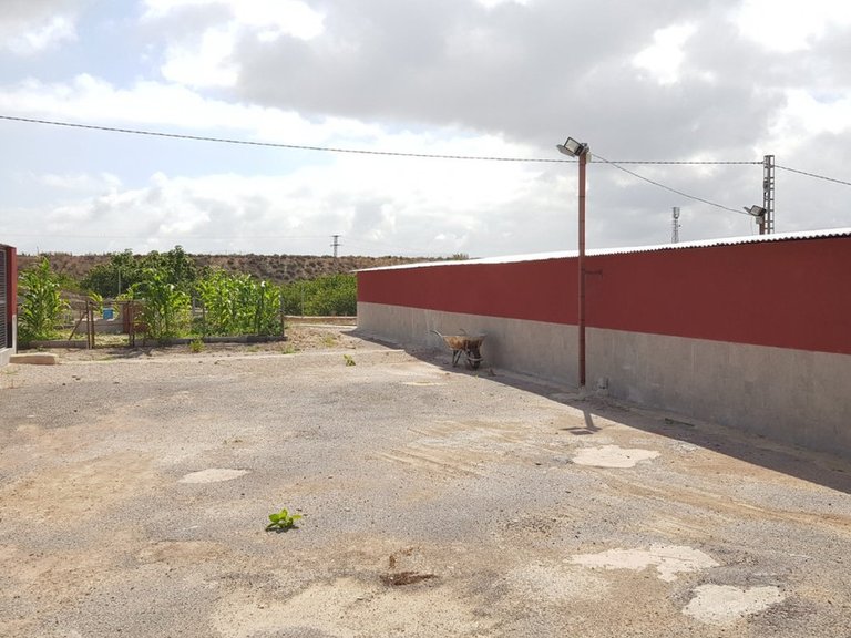 Country House for Sale in Los Montesinos, Alicante 13