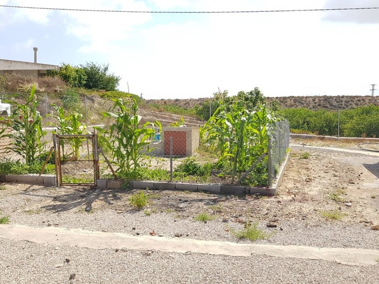 Country House for Sale in Los Montesinos, Alicante 18