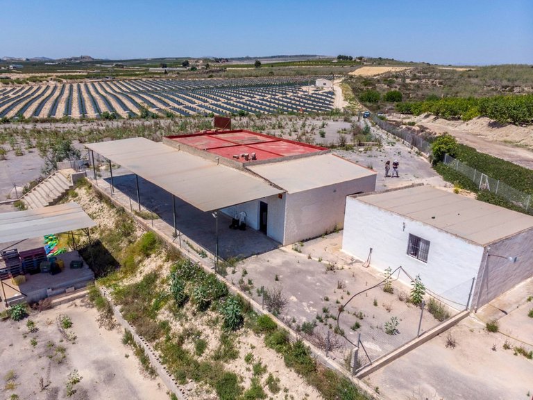 Country House for Sale in Los Montesinos, Alicante 45