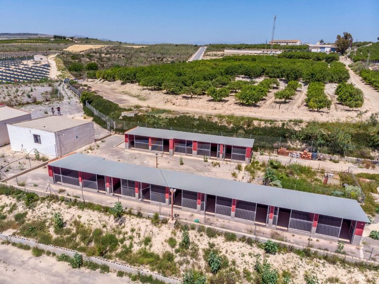 Country House for Sale in Los Montesinos, Alicante 50