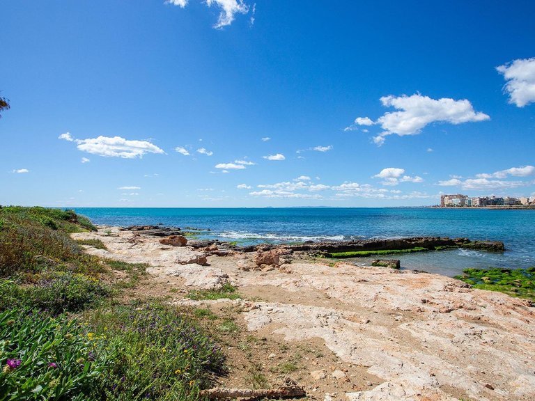 Apartment for Sale in Torrevieja, Alicante 35
