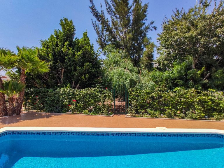Villa for Sale in Las Ramblas, Alicante 38
