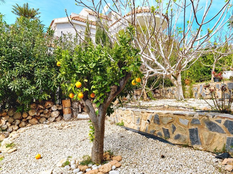 Villa for Sale in Campoamor, Alicante 42