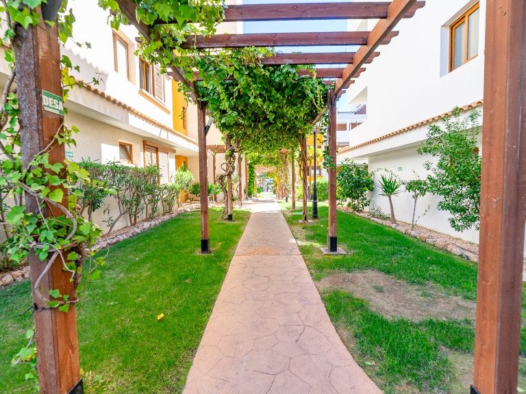 Apartment for Sale in Punta Prima, Alicante 49