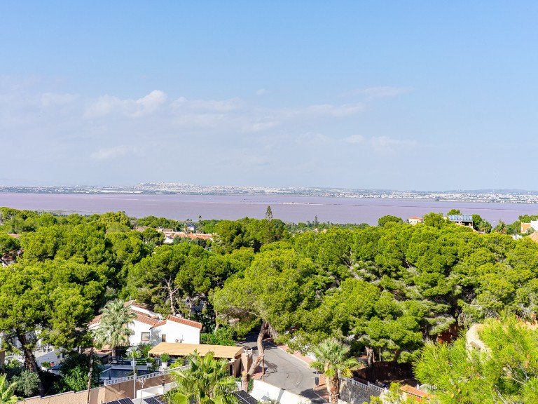 Villa for Sale in Los Balcones, Alicante 44