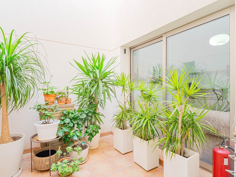 Town House for Sale in Punta Prima, Alicante 18